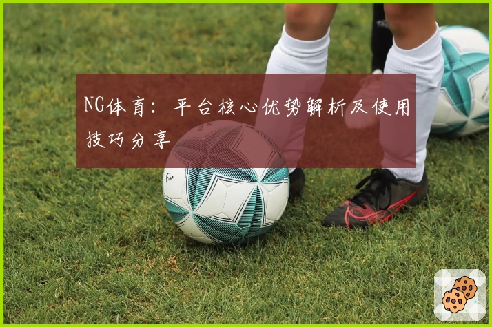 NG体育：平台核心优势解析及使用技巧分享