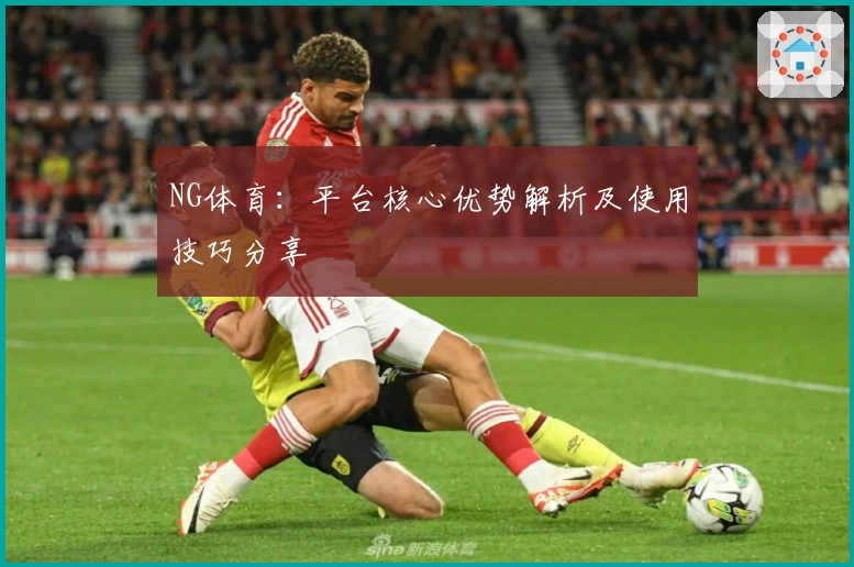 NG体育：平台核心优势解析及使用技巧分享