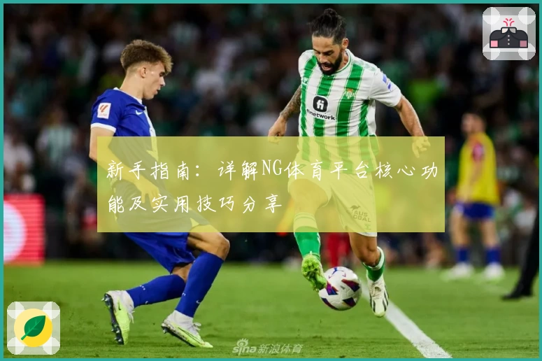 新手指南：详解NG体育平台核心功能及实用技巧分享